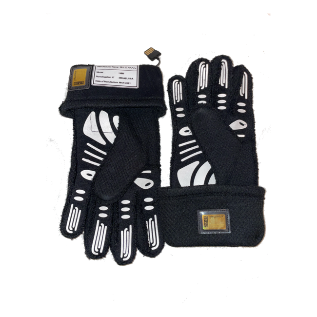 Lewis Hamilton's Mercedes 2021 Gloves Used in Race