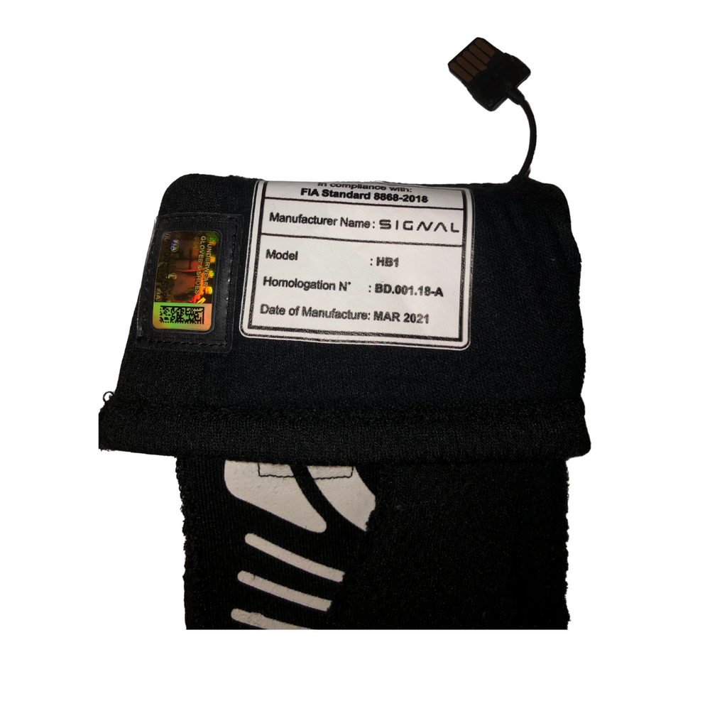 Lewis Hamilton's Mercedes 2021 Gloves Used in Race